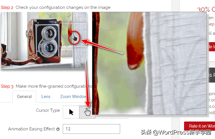 WP  Image  Zoom：图片细节放大效果插件