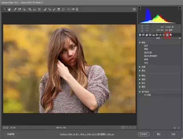 再也不用为图片调色烦恼了！2019版PS调色插件Camera  Raw10.4送你