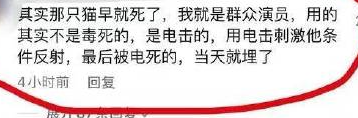 为拍摄真实炸死军犬，为何不用CG特效？追求艺术请先敬重生命