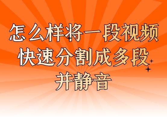 怎么样将一段视频快速分割成多段并静音