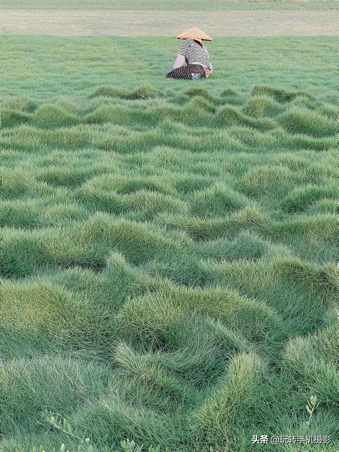 不会调色？这4款夏日绿调让你出圈