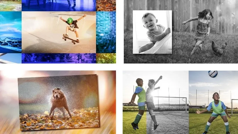 Adobe  Photoshop  Elements  2022 和 Premiere  Elements  2022 简介