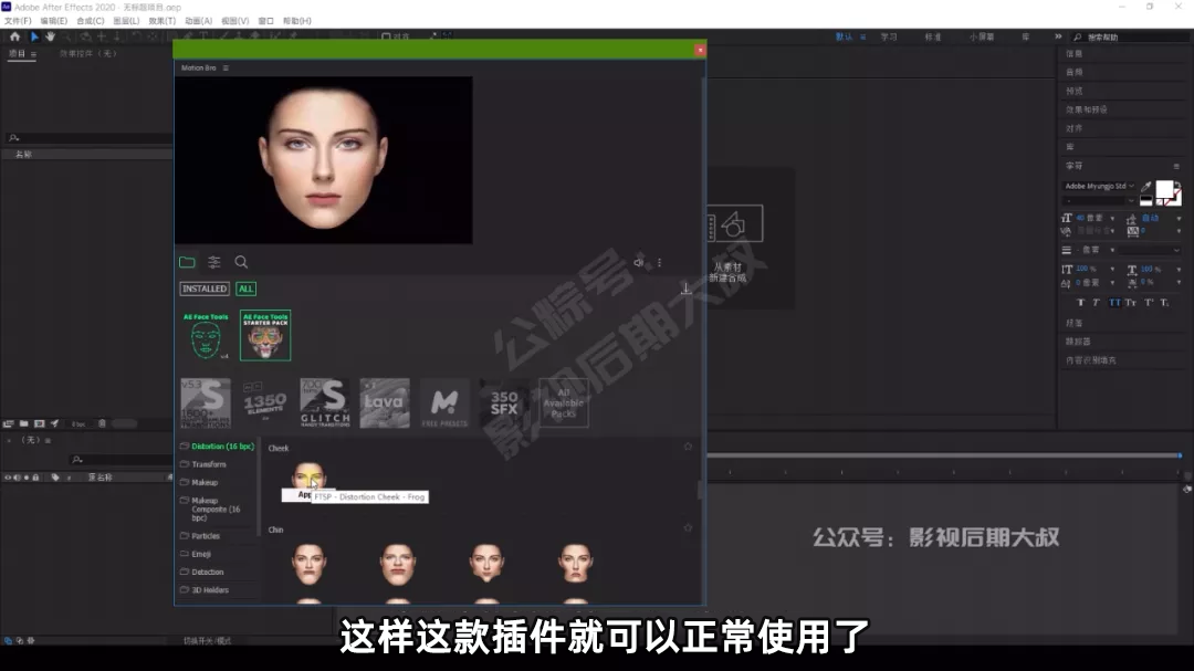 最新AE换脸 瘦脸 美颜换妆插件FaceTools，让作品拥有无限可能性