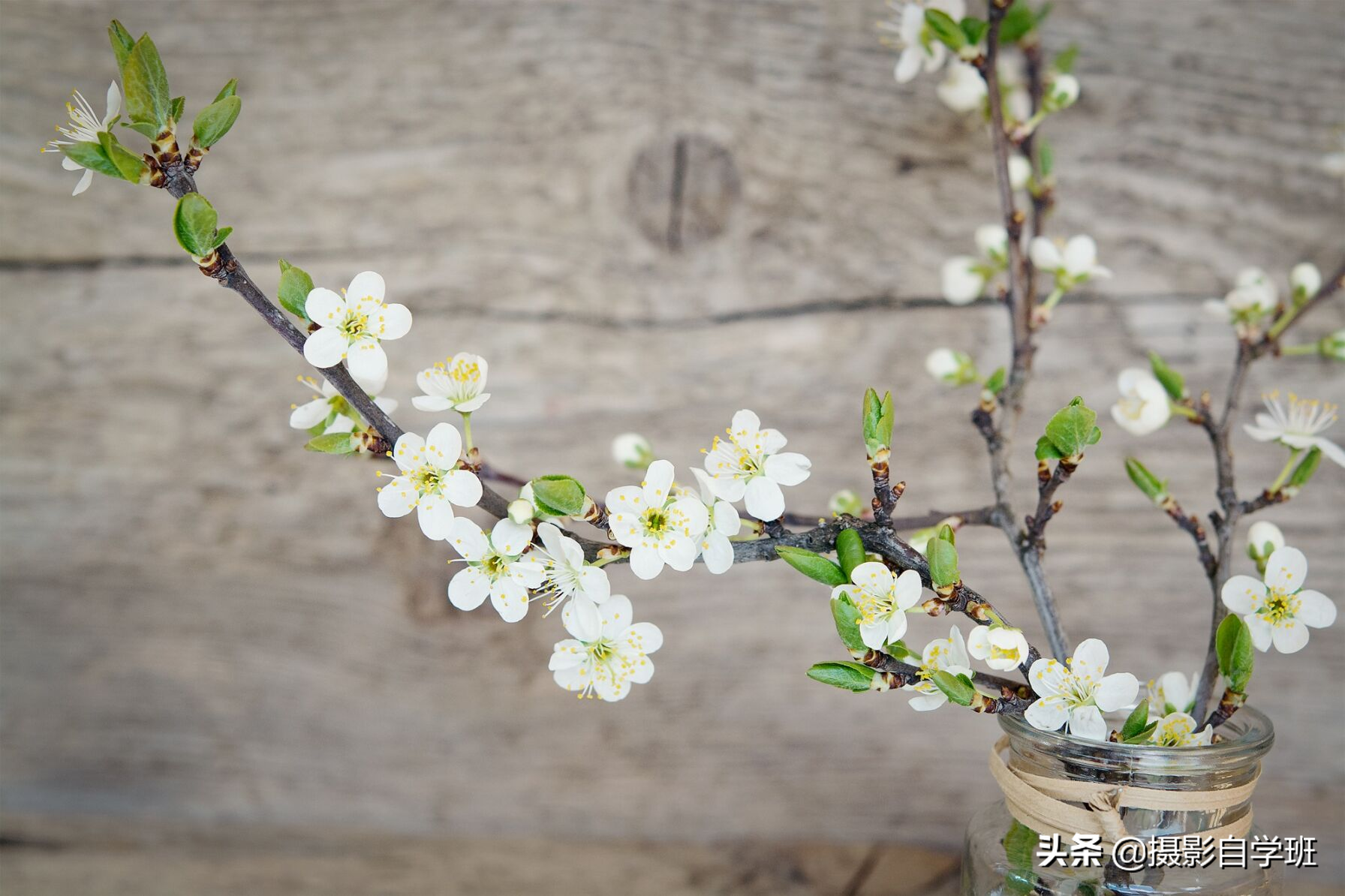 这4条摄影及修图技巧，简单实用，提升好片率，摄影小白请收藏