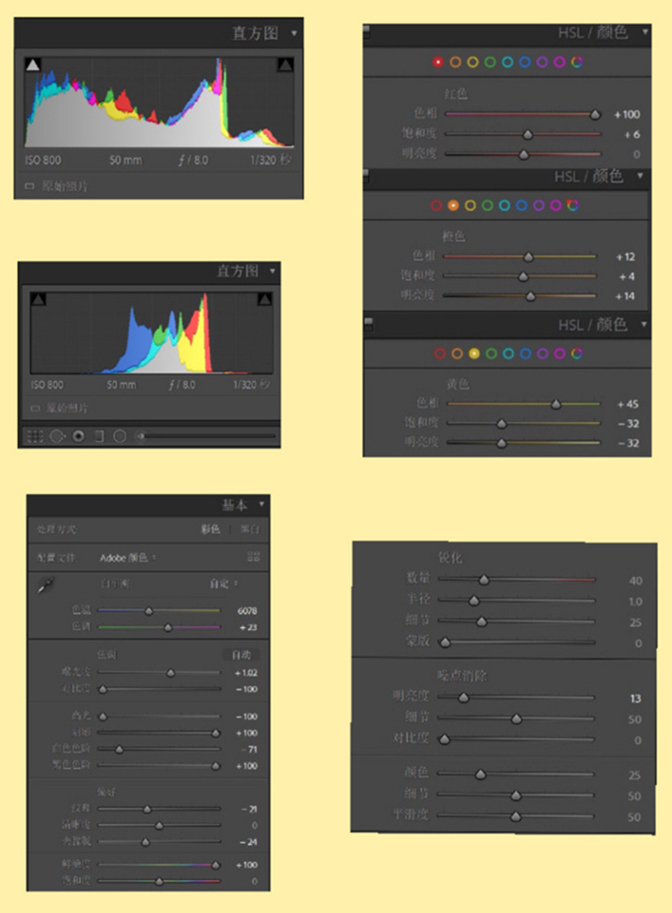 9 款 LR  万能调色公式，一次性 get