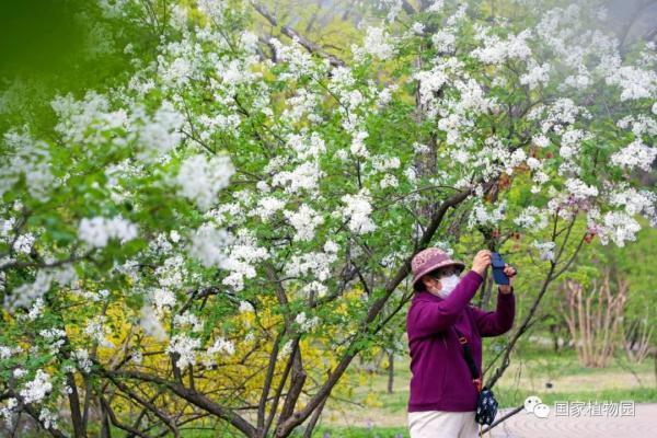 国家植物园正式揭牌，游览攻略、购票方式都在这里了