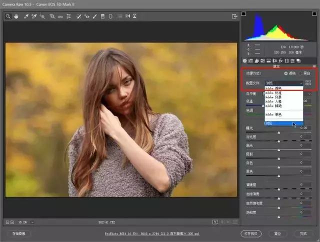 再也不用为图片调色烦恼了！2019版PS调色插件Camera  Raw10.4送你