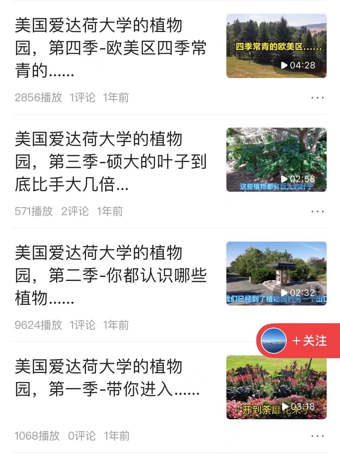 中视频计划，分享五个视频创作方向，不需要露脸轻松赚收益