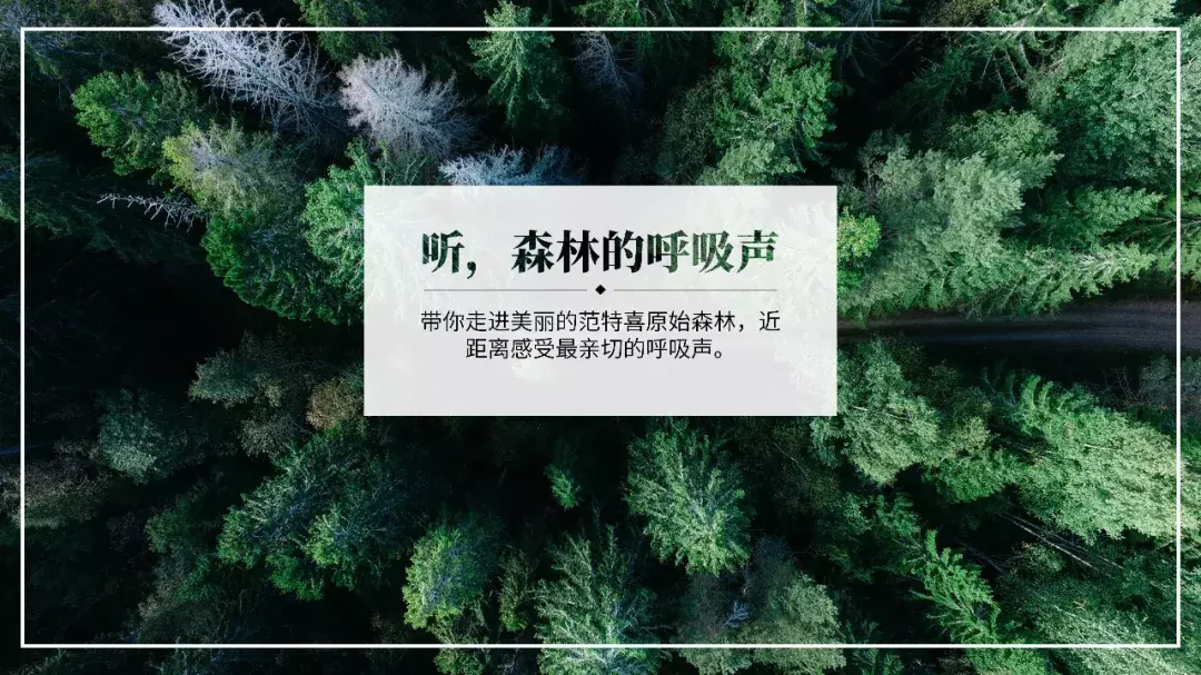 4种高大上的PPT文字效果，强烈推荐大家学习一下！